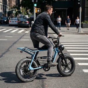 Bicicleta Eléctrica de Alta Capacidad, Bicicleta Eléctrica Retro de Larga Distancia con Llantas Gruesas, Venta al por Mayor - Product Image 4