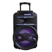 Gros prix d'usine grand haut-parleur 15 pouces Bluetooth musique chicanes extérieur Portable Boombox TWS Subwoofer Trolley haut-parleur