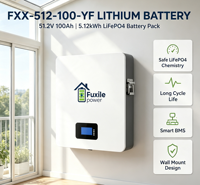 Batterie LiFePO4 murale 51,2 V 100 Ah 5,12 kWh, puissance nominale 2,56 kW, 6000 cycles, communication CAN RS485 RS232, protection IP21
