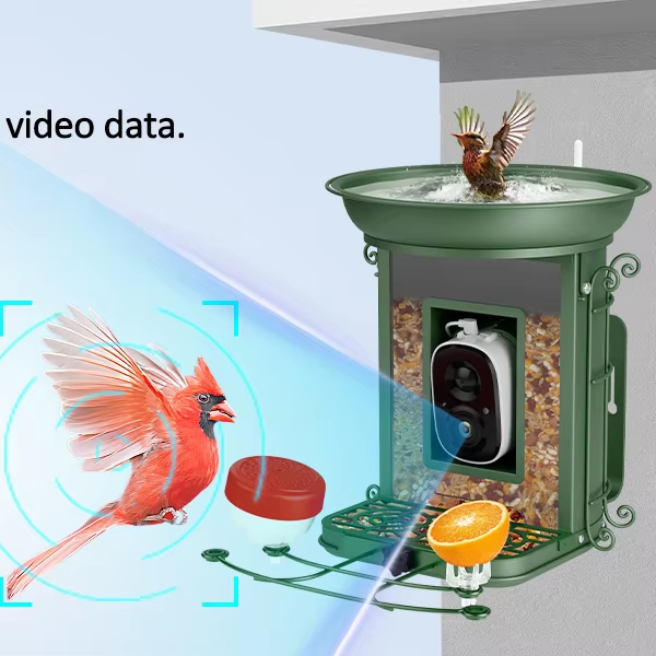 Solar Powered Smart Bird Feeder AI Camera Self-selecting ID 2K Live Feed Multi-Mount Hanging/Tree/Wall for Bird Watching