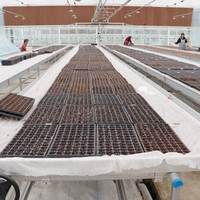 Table de croissance pour équipement agricole GT, lit de semis en treillis métallique, serres, bancs roulants