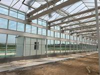 Invernaderos Tropicales de Policarbonato PC y Sistemas de Cultivo Hidropónico Comercial para Tomate, Lechuga y Fresa