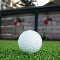 Balle de pratique de golf EVA Foam 20G pour l'entraînement et la pratique du golf avec compatibilité gazon artificiel