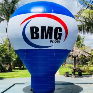 <span class=keywords><strong>Ballon</strong></span> publicitaire géant gonflable de 5 m avec logo personnalisé et éclairage LED pour la publicité sur toit et la promotion de rue - Vente flash - Product Image 6