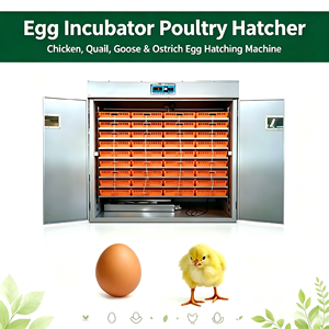 Incubadora Automática de Huevos de Gallina, Ganso, Avestruz y Pato, de Gran Capacidad, con Energía Solar, Máquina de Incubación de Aves de Corral, 99% de Tasa de Incubación, Nueva - Product Image 1
