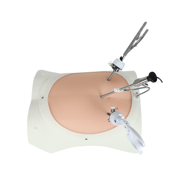 Laparoscopic Trainer Box - Advanced Medical Training Simulator