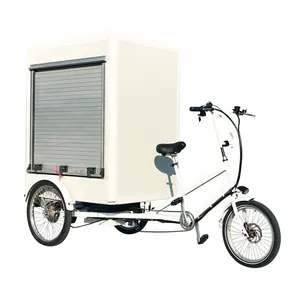 Rear Loaded Mini Van Bike Tricycle Electric Cargo Bike For Delivery From Factory Maker