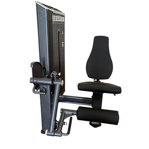 Équipement de musculation commercial, machine double fonctionnelle avec extension des jambes allongées et extension assise, en acier L8002A, extension des jambes pour salle de sport commerciale - Product Image 4