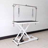 LZ Grandes tables de toilettage électriques à chaud pour chiens avec prise Table de toilettage pour chiens à vendre Groomer Pet Salon Pet Shop 1pcs
