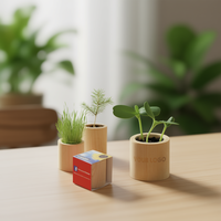 Pot Tanaman Kayu Ramah Lingkungan Label Putih Mini Bulat untuk Bunga/Bibit Tanaman Hijau, Tanaman Indoor Minimalis, Hadiah untuk Rumah dan Kebun