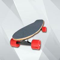 Kit de skateboard en érable personnalisées, skateboard électrique de qualité professionnelle