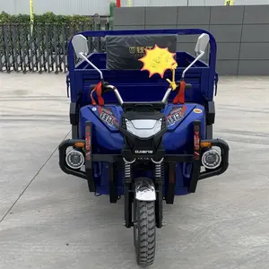 Năng Lượng Mới Điện Trike Điện Tự Động Xe Kéo Bài Thể Hiện Hàng Hóa Ba Bánh Xe Điện Ba Bánh Hàng Hóa Ba Bánh Diesel