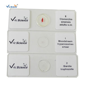 실험실 장비 슬라이스 세트 기생충 준비 슬라이드 생물학 의료 기생충 <span class=keywords><strong>7101</strong></span> 현미경 교육 준비 슬라이드 - Product Image 1