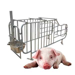 Système de cages Hengyin pour l'élevage : Cages de maternité pour truies - Product Image 3
