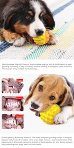 Juguete para Perros con Sonido, Cepillo de Dientes, Mordedor de Entrenamiento, Pelota - Product Image 3