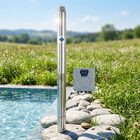 Pompe solaire submersible pour puits profond SN 10m³/h 115m AC/DC pour l'irrigation des terres agricoles