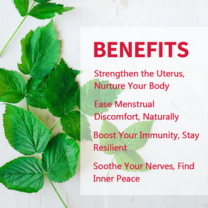 Té de Hoja de Frambuesa Roja Orgánica de Alta Calidad, Suplementos Nutricionales Herbales para la Salud de la Mujer y Apoyo a la Salud - Product Image 2