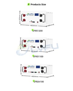 LVFU EU/MY/PK/ID/PH Stock Local After-sales Service 100kWh LiFePO4 <b>Battery</b> 51.2V 300 Ah 48V Powerhouse LFW51100 8000 Cycles - Product Image 3