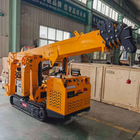 Penjualan Panas 3t 5t 8t 10t Mini Crawler Telescopic Diesel Electric Spider Crane untuk Dijual