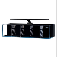 Nouveau modèle d'aquarium en verre ultra-blanc multi-compartiments avec filtre arrière isolant pour la culture de petits poissons de combat dans le salon