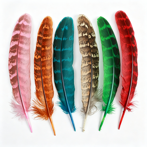 Plumes de faisan Ringnick colorées pour l'artisanat, l'embellissement de coiffes, les plumes cérémonielles, les accessoires de mariage et de festival - Product Image 6