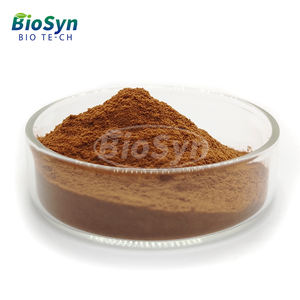 BioSyn, оптовая продажа, высококачественный экстракт Vitex Agnus-Castus, экстракт 10:1 Chasteberry, порошок - Product Image 3