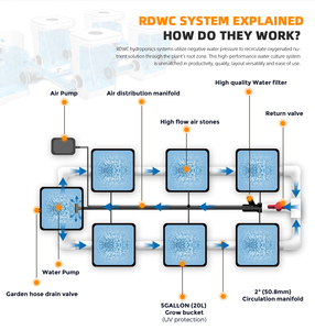 SUNSUN CXP-80 Sistema di Controllo Automatico dei Nutrienti per Idroponica DWC, Pompa ad Alta Pressione per Irrigazione a Goccia 220-240V - Product Image 4