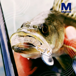 Señuelo de pesca de lubina con triple anzuelo de cabeza de plomo y cebo blando, 5 paquetes por caja - Product Image 3