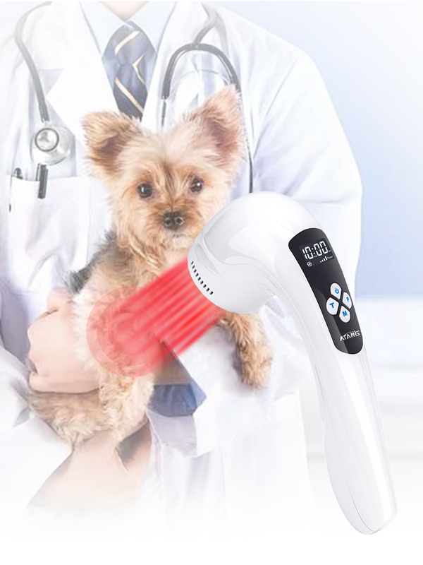 Veterinary Infrared Laser Therapy Device for