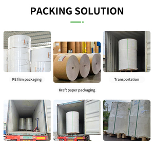 230gsm 250gsm 260gsm 280gsm 300gsm cupstcok giấy PE tráng giấy cuộn cao số lượng lớn Nhà máy trực tiếp - Product Image 6