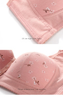 Soutien-gorge Grande Taille à Fermeture Avant, Couvrance Totale, Sans Armature, Minimiseur, Sans Couture, Motif Floral, Bretelles Larges, Soutien Dorsal, Respirant, Pour Poitrine Généreuse