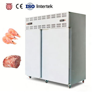 Congélateur électronique à congélation rapide pour aliments, fruits, crèmes, frites, pizzas, samosas, poissons – Armoire de congélation rapide - Product Image 1