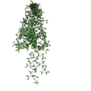 Vignes artificielles Shuyu en plastique, verdure suspendue pour décoration intérieure et extérieure, style bonsaï à fixer au mur - Product Image 4
