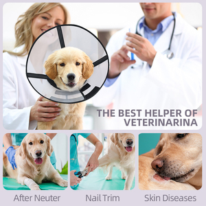 Katı desen plastik Pet kurtarma yaka Elizabeth ameliyat sonrası kediler için e-yaka köpek boyun koni - Product Image 3