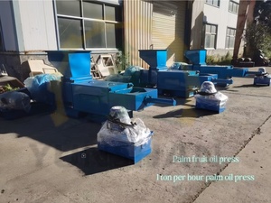 Presse <span class=keywords><strong>à</strong></span> <span class=keywords><strong>huile</strong></span> de palme 1TPH <span class=keywords><strong>à</strong></span> haut rendement pour <span class=keywords><strong>fruits</strong></span> de palme frais - Product Image 6