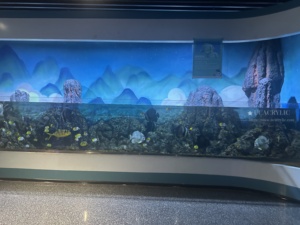 Acryl <span class=keywords><strong>Aquarium</strong></span> <span class=keywords><strong>Aquarium</strong></span> Acryl <span class=keywords><strong>Aquarium</strong></span> Restaurant Goedkope Acryl Aquaria - Product Image 6