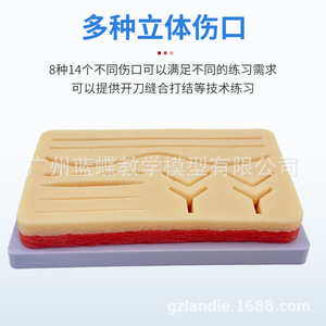 Module de suture cutanée simulant la peau humaine ; modèle d'entraînement à l'incision et à la suture des muscles profonds ; pratique de l'incision et de la suture chirurgicales. - Product Image 5