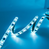 Tira de Luces LED RGB de Cobre de 12 V CC, SMD5050, 60 LED/m, Cortable, Control Remoto, IP65, Iluminación Ambiental para TV