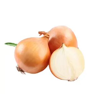 New Fresh Onions Red Yellow Onion Green Vegetables China Wholesale Exporter