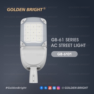 Lámpara LED de Calle de Alta Potencia AC, 60W, Diseño de Ala de Murciélago, Distribución de Luz Dorada Brillante - Product Image 3