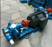 Kleine Gusseisen-Edelstahl-304-316-KCB-Zahnradpumpe 220V Elektropumpe für Öl-, Chemikalien- und Lebensmitteltransfer mit Anpassbarer Kabellänge für OEM-Anwendungen