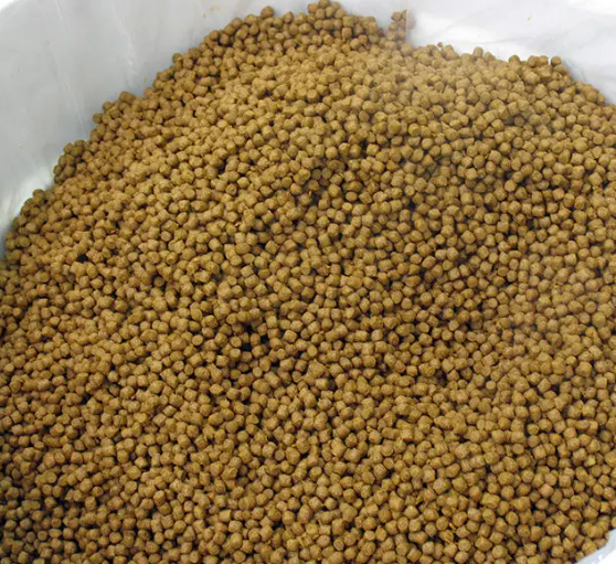 Stainless Steel Fish Floating Feed Machine 100 - 500kg/H
