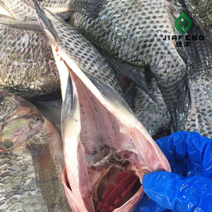 Pesce Tilapia Intero Congelato Premium di Alta Qualità - Product Image 2