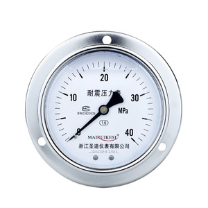 Suministro de manómetro axial roscado M20*1.5 resistente a impactos con brida, manómetro de acero inoxidable YN100ZT resistente a impactos - Product Image 1