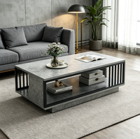Table basse moderne minimaliste de luxe léger, structure métallique, plateau en bois - Multifonctionnelle pour salon, chambre, design compact