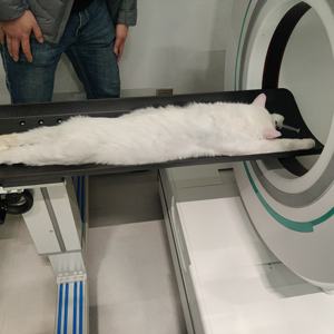 Escáner CT portátil de cabeza móvil para mascotas Escáner de tomografía computarizada CT móvil Escáner CT médico - Product Image 4