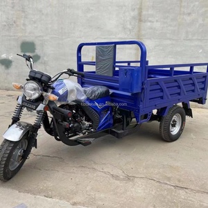 รถสามล้อ3ล้อสำหรับผู้ใหญ่รถสามล้อบรรทุกของเครื่องยนต์เบนซินแบบ250CC - Product Image 6