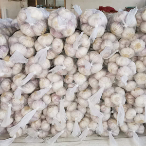 Sơn Đông tỏi tốt trực tiếp từ trang trại tỏi tươi hữu cơ với giá cả tuyệt vời nhiều loại tỏi cao cấp có sẵn - Product Image 1