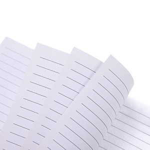 Quaderno <span class=keywords><strong>a</strong></span> <span class=keywords><strong>Spirale</strong></span> A6 con Copertina Morbida Bianca e Stampa di Dinosauri, Carta <span class=keywords><strong>a</strong></span> <span class=keywords><strong>Righe</strong></span> di Alta Qualità per Disegni Quotidiani e Scuola dei Bambini - Product Image 5