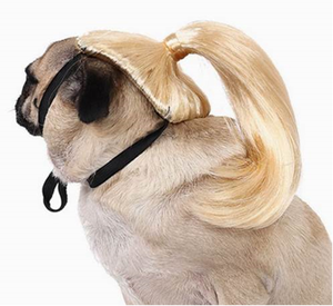 Peluca para mascotas, suministros para perros, accesorios para mascotas, pelo rizado, pelo liso, peluca para gatos - Product Image 5